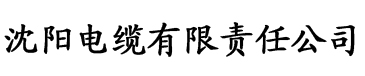 视频在线污电缆厂logo